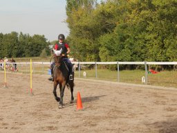 img_7490_web